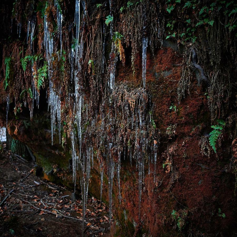 Appartamento U Kosti - Bohemian Switzerland Decin Esterno foto
