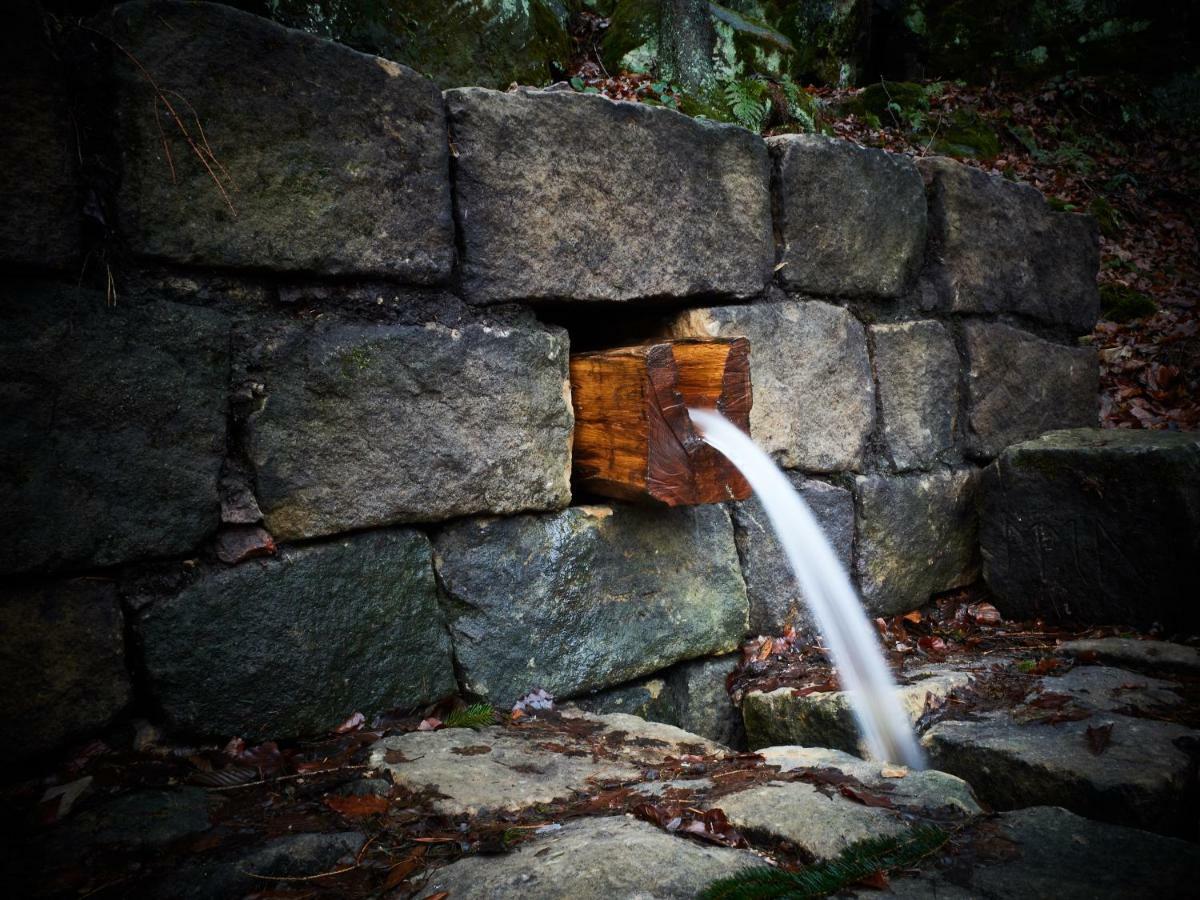 Appartamento U Kosti - Bohemian Switzerland Decin Esterno foto